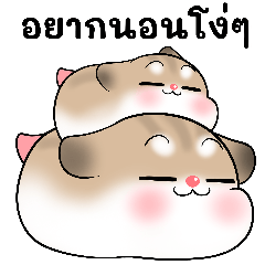 Pudding Hamster lazy 2025