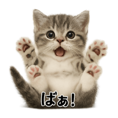 MINA_20250424165306