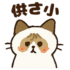 ふわふわラグドールだぜー！