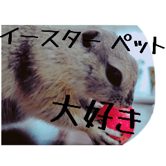 Yun_20250424182736