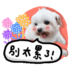 安安事物所