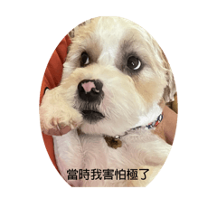當時我害怕極了