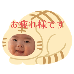 EMI_20250425183808