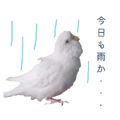 だいふくスタンプ3