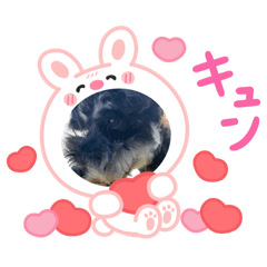 marimo0907