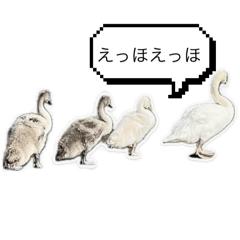 k_20250425185338