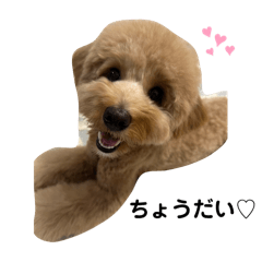 yuka_20250425185653