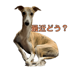 Kana_20250425214555