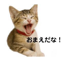 2025年No.1