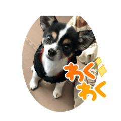 MEGUMI_20250425221545