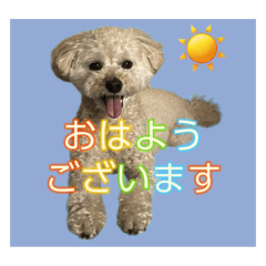 NANA_20250425222127