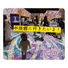 hide_20250425233726