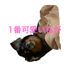 na_20250425151854