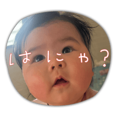 mao_20250425151146