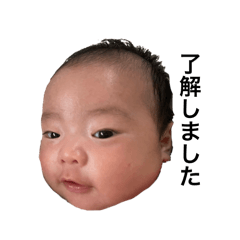 Maron_20250425153059