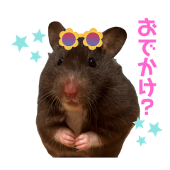 momaru_20250425172907