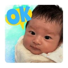 TARO_20250425173614
