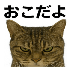 mikuni_20250426022732