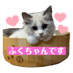 haru._20250425223243
