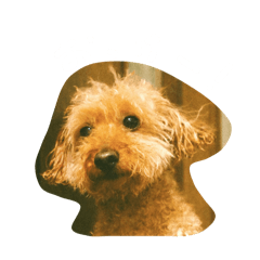 rui_20250425194618