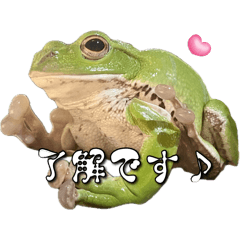 nao_20250426000630