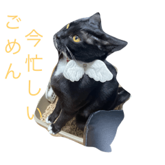 Jun_20250426001533