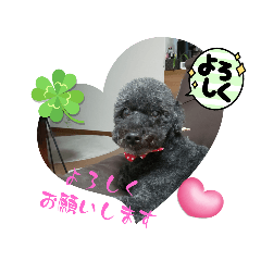 hana_20250426090217