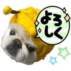 ayachan_20250426093457