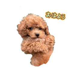 SAYURI_20250426104523