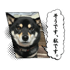 Rii_20250425172209
