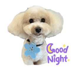 Annie Connie Teddy_20250426072124