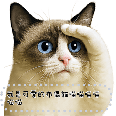 布偶屁屁的日常 第5集