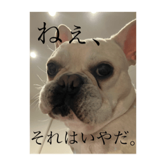Chika_20250425202258
