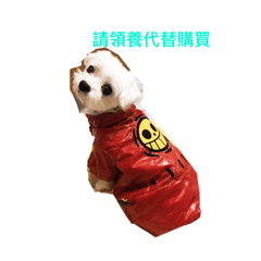 Maltese LuLu