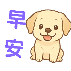 拉不拉多犬生活日常