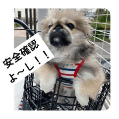 moko_20250425182822