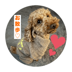 riku_20250426043523