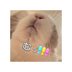 Nono_20250426054747