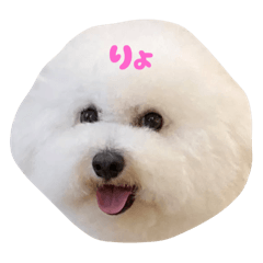 MIEOBA_20250426094056