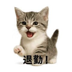 MINA_20250426102025
