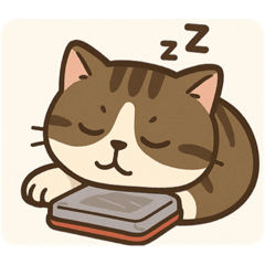 Cat_20250425115945