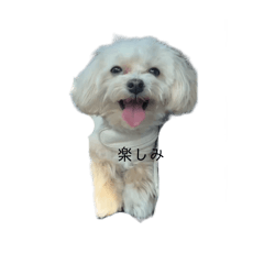 mizuki_20250425205414