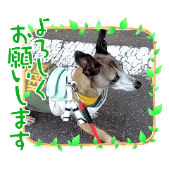 nana_20250425205355