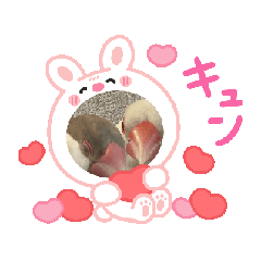 TORI_20250426134624