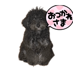 YAMA_20250425234026