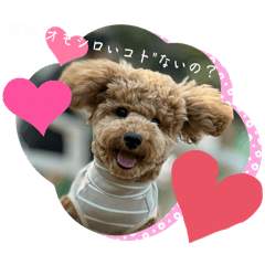 chihiro_20250426080048