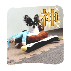 mochi_20250426080743