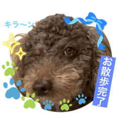 mimi_20250426083710