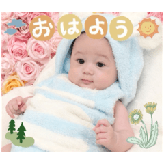 mei_20250426080807