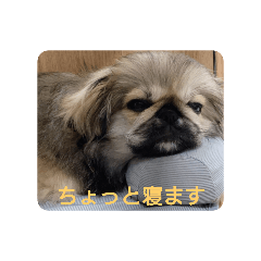 Moko_20250426114628